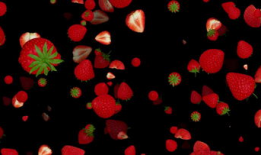 草莓视频素材,探寻甜蜜背后的故事